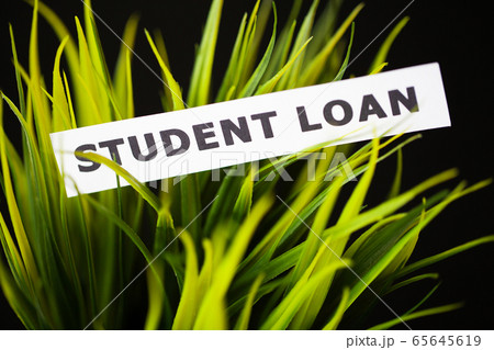 Credit concept. Student loan written on white card. 65645619
