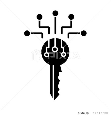 Digital Key Black Glyph Iconのイラスト素材