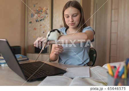 Girl teenager 12-15 years old, plays with a rat, mouse, home laptop lessons. E-education and distance learning through the Internet and video communications. Notebooks abstracts and pencils. 65646575