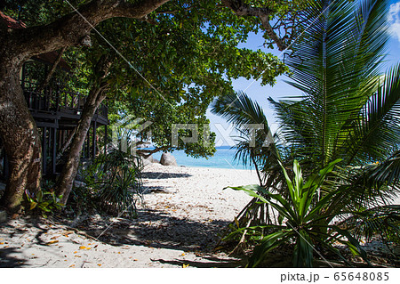 Similan island views from the beach and above, in Thailand 65648085