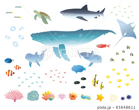 Realistic sea creatures set - Stock Illustration [65648611] - PIXTA