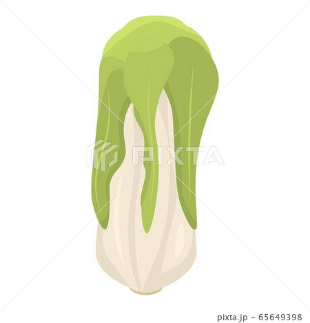 Vegan cabbage icon, isometric style Vegan cabbage icon, isometric style 65649398