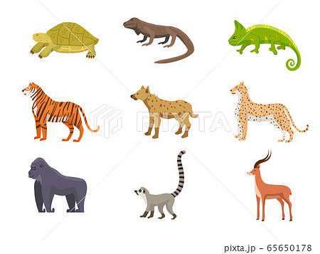 Wild African animals flat vector illustrations set 65650178