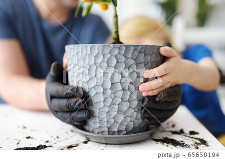 Man and little boy transplanting houseplant Man and little boy transplanting houseplant 65650194