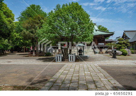 長命寺本堂 長命寺本堂 65650291