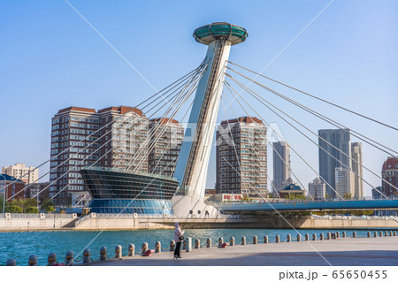 Modern landmark bridge on the Hai River 65650455