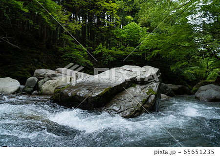 滋賀県愛知川源流の渓谷イメージ 滋賀県愛知川源流の渓谷イメージ 65651235
