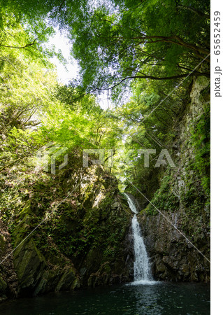 滋賀県愛知川源流の渓谷と滝 65652459