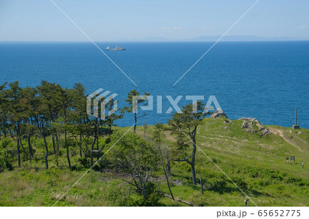 種差海岸 - 三陸復興国立公園 65652775
