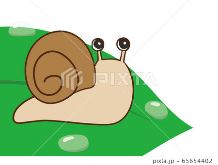 かたつむり かたつむり 65654402