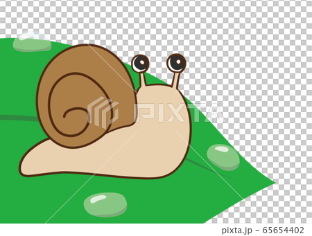 かたつむり かたつむり 65654402