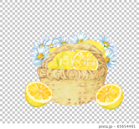 Lemon and marguerite and basket 65654491