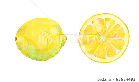 レモン水彩画のイラスト素材