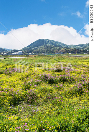 耕作放棄地　 65656543