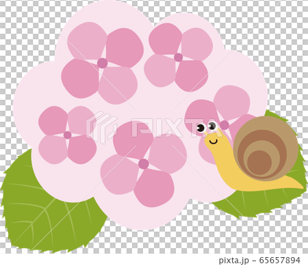 アジサイ あじさい 紫陽花 梅雨 カタツムリ イラスト素材のイラスト素材