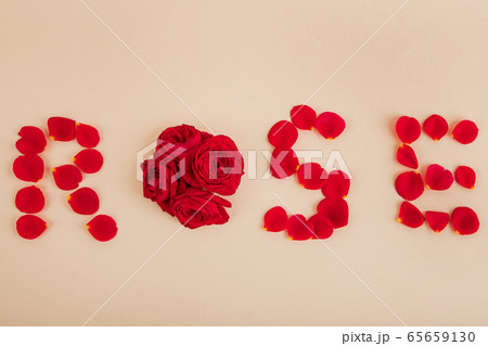 Lovers' Day concept, romantic couple event objects 088 Lovers' Day concept, romantic couple event objects 088 65659130