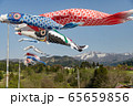 こいのぼり 65659856