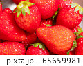 真っ赤なイチゴ 65659981