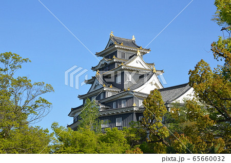 岡山城(岡山県岡山市北区) 岡山城(岡山県岡山市北区) 65660032