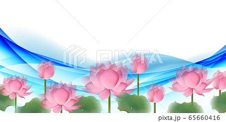 蓮 花 喪中 背景 蓮 花 喪中 背景 65660416