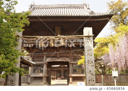 福岡県小郡市 大中臣神社の楼門と藤 65660856