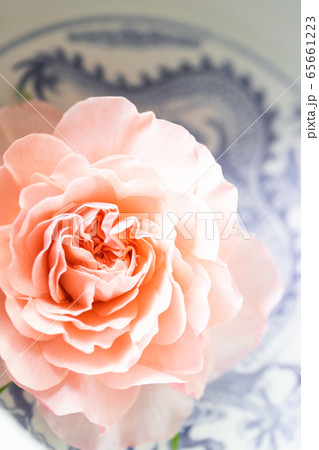 イングリッシュローズ・ウイリアムモリス 65661223