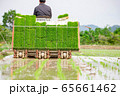 田植え機で田植えをしている農家 65661462