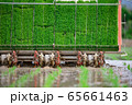 田植え機で田植えをしている農家 65661463