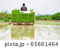 田植え機で田植えをしている農家 65661464