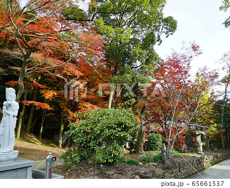 紅葉がきれいな秋の定光寺 紅葉がきれいな秋の定光寺 65661537