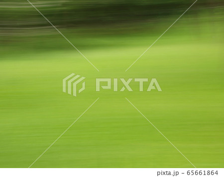 春、萌黄色の草地 春、萌黄色の草地 65661864
