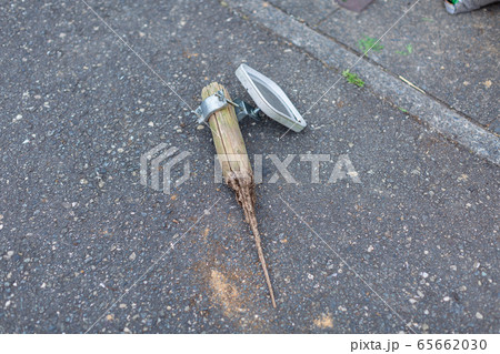 木の劣化 虫被害 白アリ 木の劣化 虫被害 白アリ 65662030