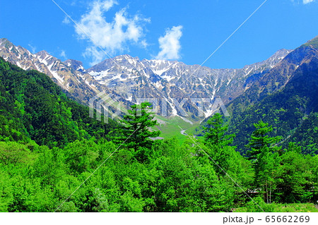 麗しき北アルプス　その2005　：　　新緑の上高地　その2005 65662269