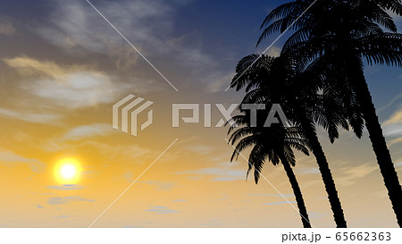 夕暮れの空 椰子の木 リゾート地 3dイラストのイラスト素材