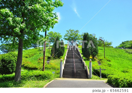 横浜市戸塚町 東俣野中央公園 金のたまご階段と新緑の写真素材