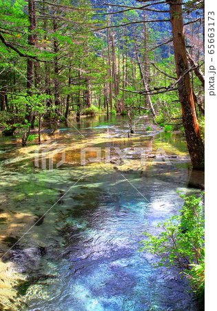 麗しき北アルプス　その2005　：　　新緑の上高地　その2005 65663173