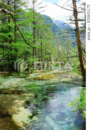 麗しき北アルプス　その2005　：　　新緑の上高地　その2005 65663175