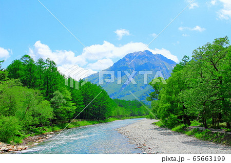 麗しき北アルプス　その2005　：　　新緑の上高地　その2005 65663199