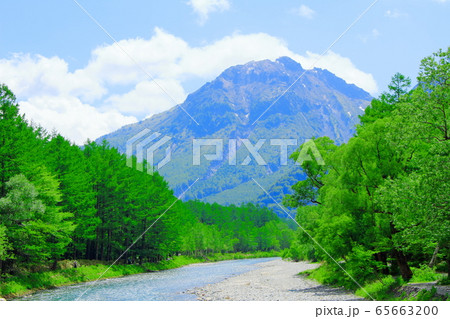 麗しき北アルプス　その2005　：　　新緑の上高地　その2005 65663200