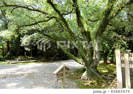 日前神宮・國懸神宮　和歌山県 65663474