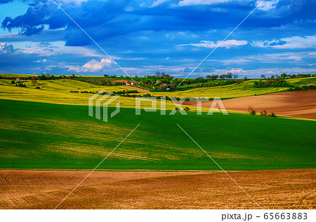 Rural spring landscape Rural spring landscape 65663883