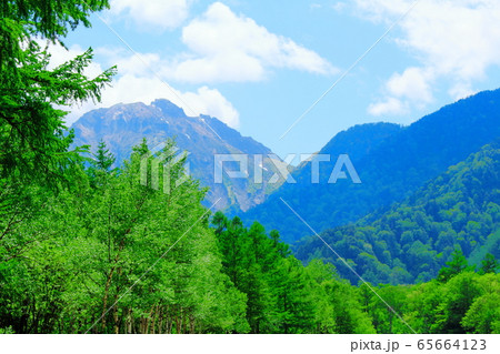 麗しき北アルプス　その2005　：　　新緑の上高地　その2005 65664123