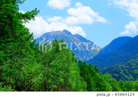 麗しき北アルプス　その2005　：　　新緑の上高地　その2005 65664124