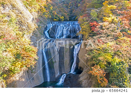 茨城県　日本三大名瀑　袋田の滝　紅葉 65664241