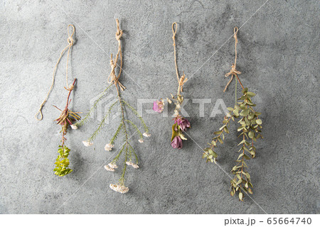 コンクリートの背景にドライフラワー 65664740