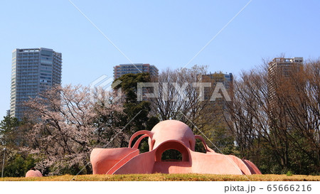 公園 公園 65666216