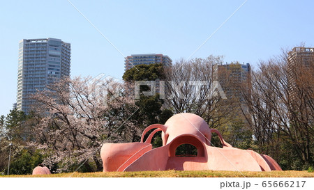 公園 65666217