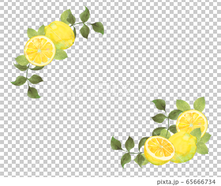 檸檬框架 65666734