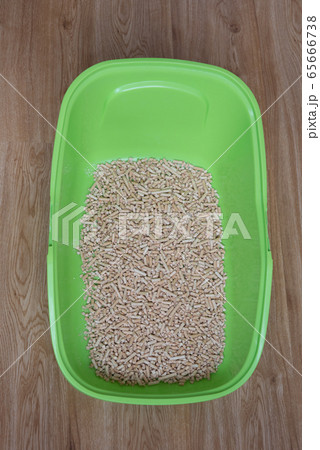 Cat tray with wood filler. Environmental friendliness and care for nature. Concept. vertical Cat tray with wood filler. Environmental friendliness and care for nature. Concept. vertical 65666738