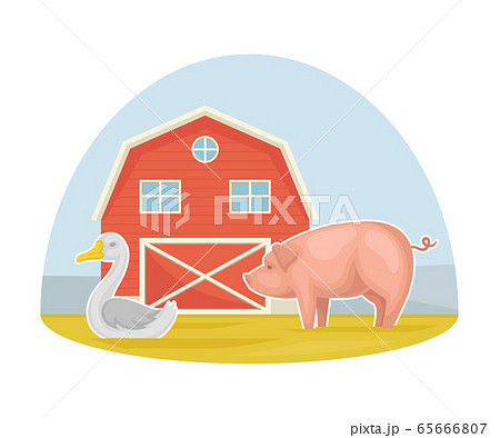 Animals on the Farm as Domestic Livestock Breeding and Natural Resource Using Vector Illustration 65666807